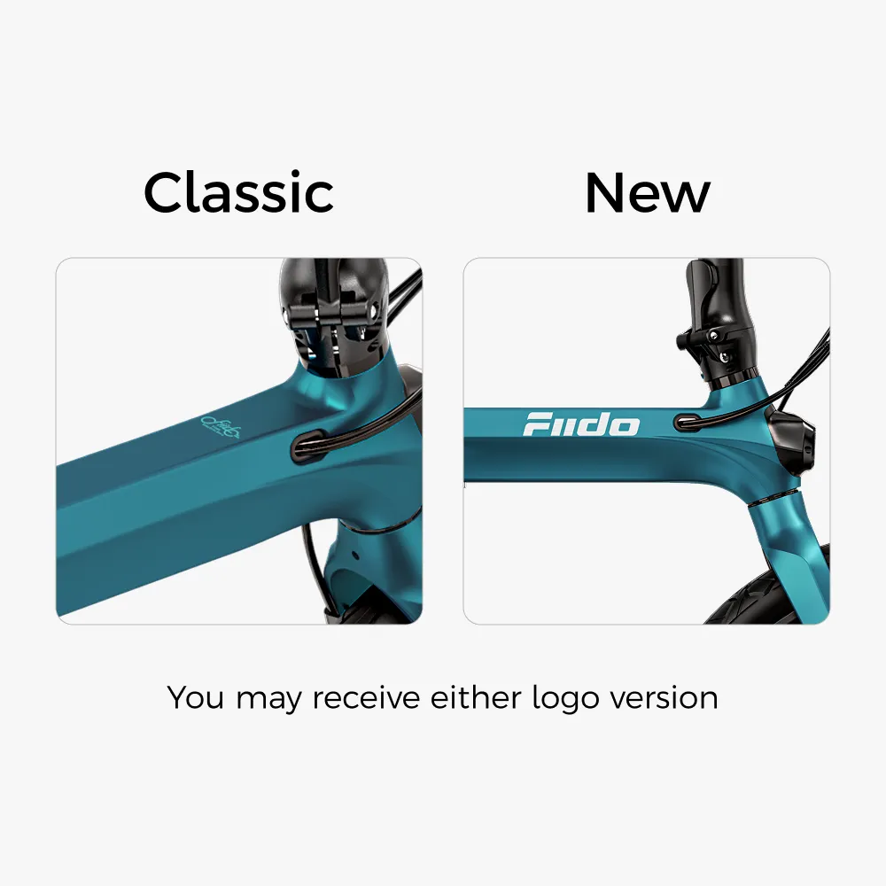 Fiido X Folding Electric Bike With Torque Sensor - Image 3